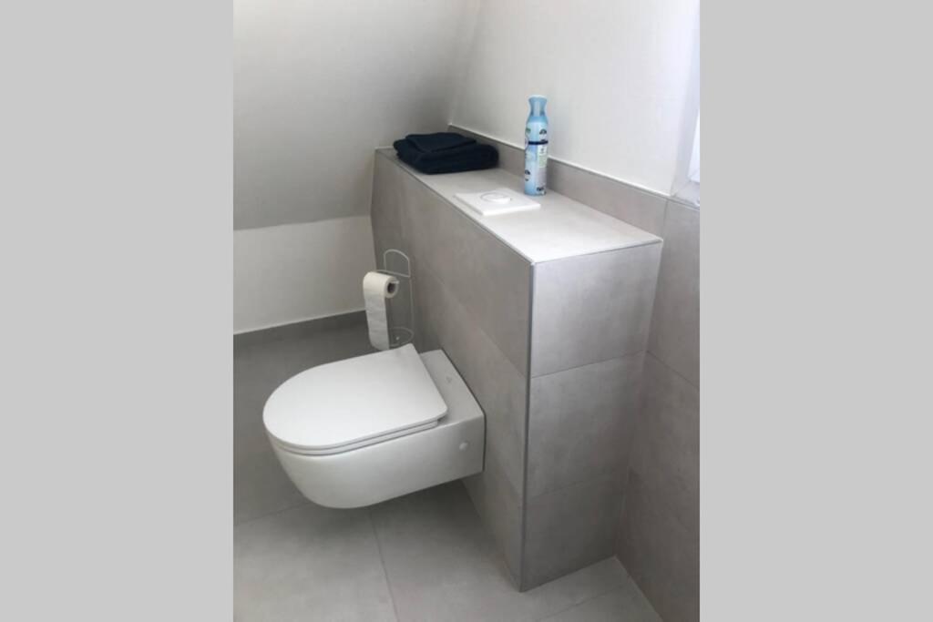 Cosybnb Bleu, Independant, Wifi, Parking, Petit Dejeuner Apartment Ittenheim